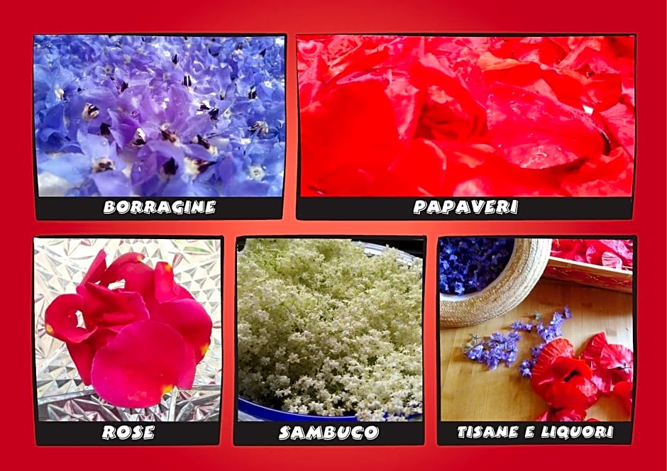 Agriturismo Campo Aperto