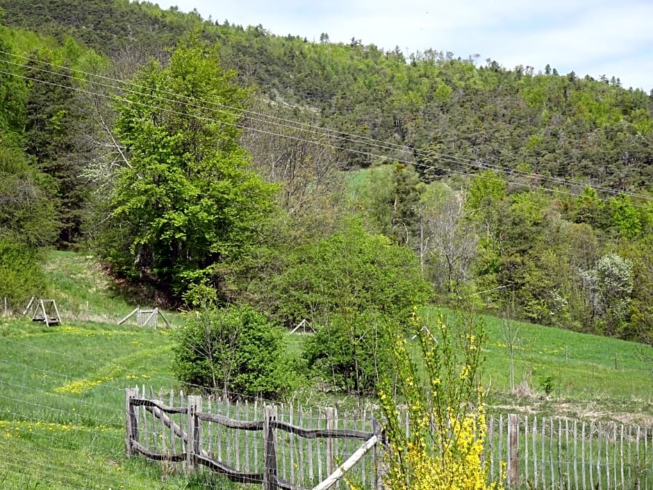 Maison d'hôtes l'Arnica