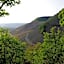 Weingut Weich