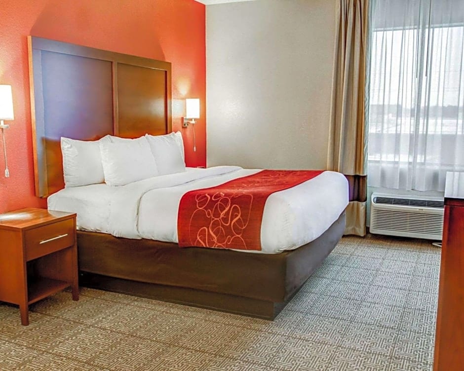 Comfort Suites Tyler South