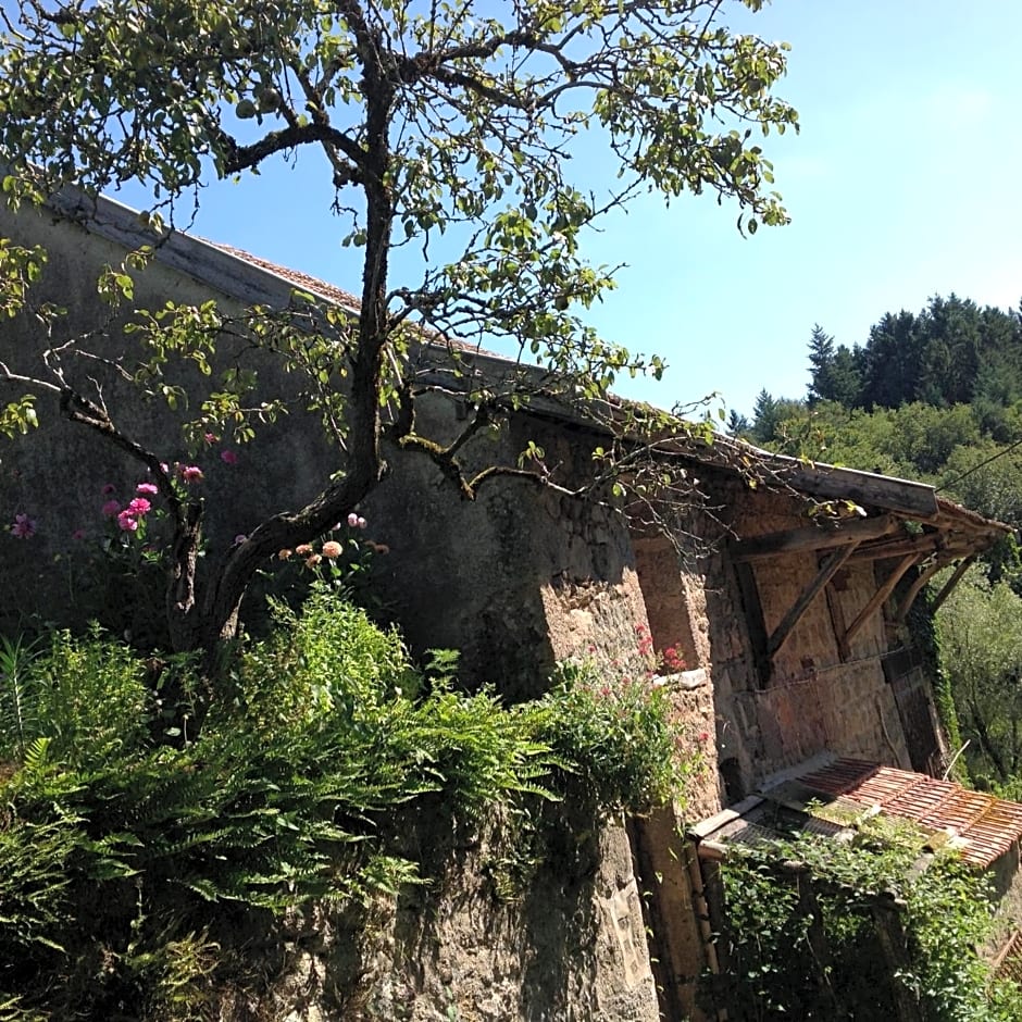 Chambre privative et originale, à 20 mn de Cluny