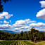Seville Estate