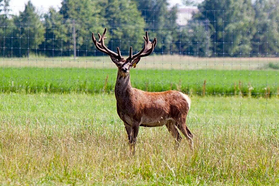 Sodeliškių dvaro sodyba