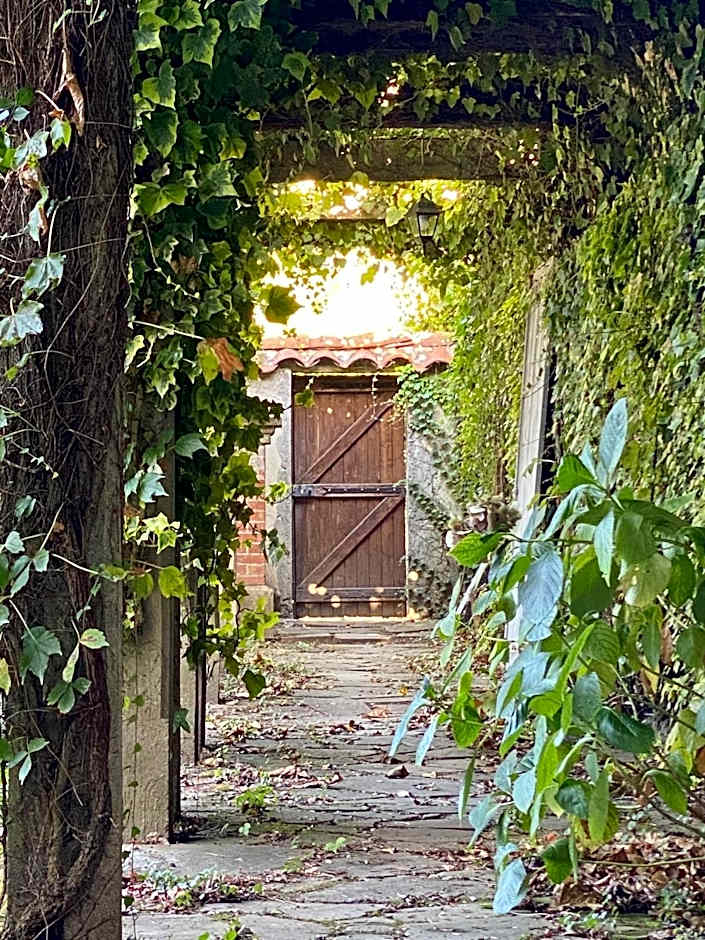 Le Rez de Jardin Albi