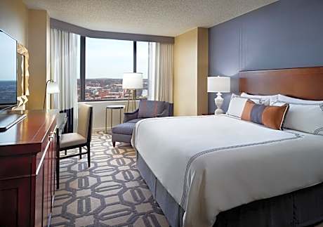 Premier Room -1 King Bed