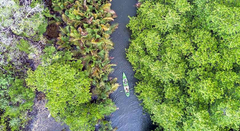 Canvas & Orchids Retreat