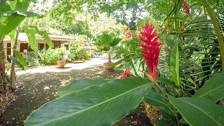 Martinique Treehouse