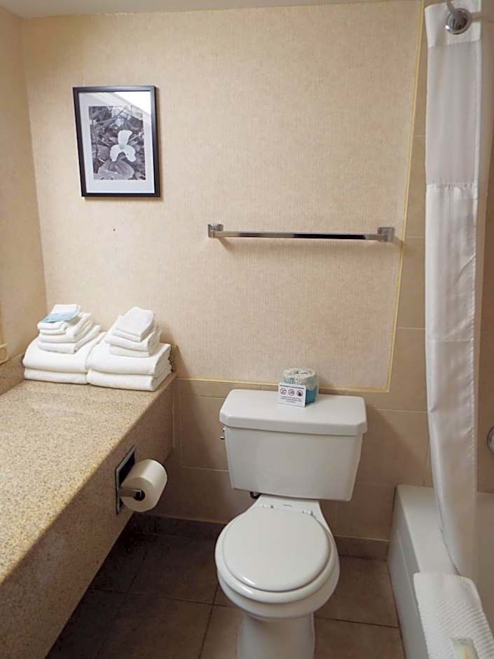 Quality Inn Owen Sound