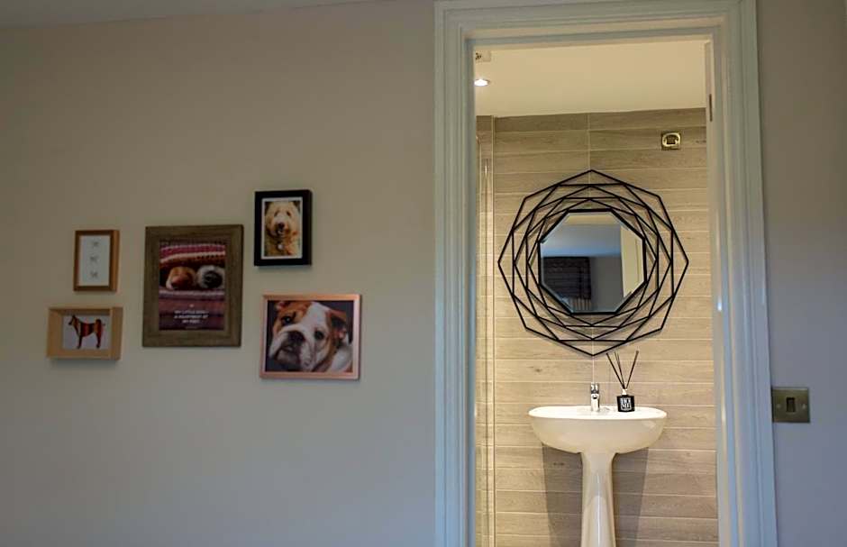 The Dog in Over Peover