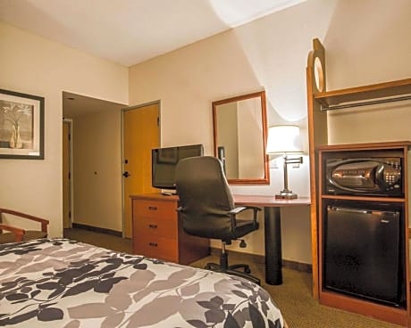 1 Queen Bed, Nonsmoking, Accessible
