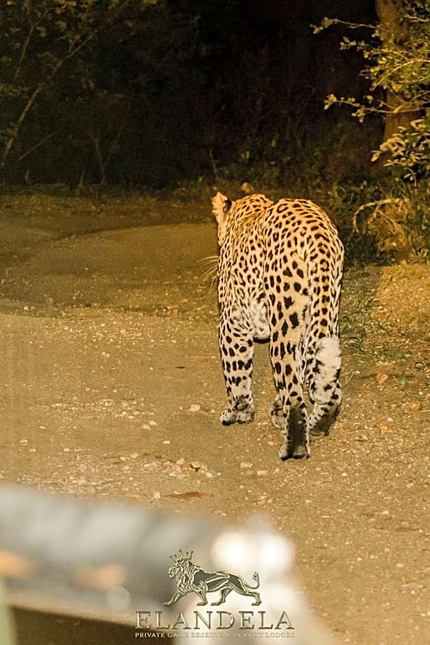 Elandela Private Game Reserve and Luxury Lodges Pty Ltd