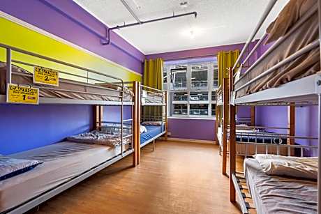 Bed in 12-Bed Mixed Dormitory Room