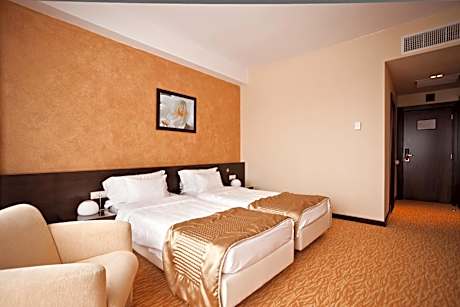 Standard Twin Room with Spa Access