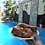 Hong Thien 1 Hotel