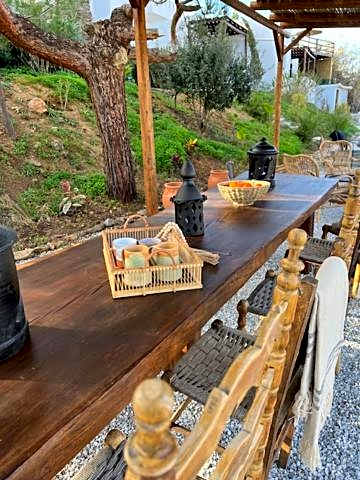 Thalia Bloom Villa Apartments