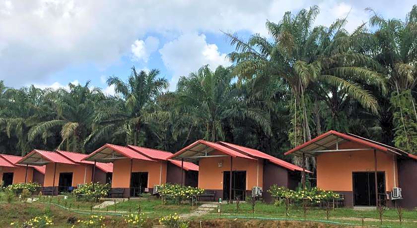 Khao Sok Evergreen House