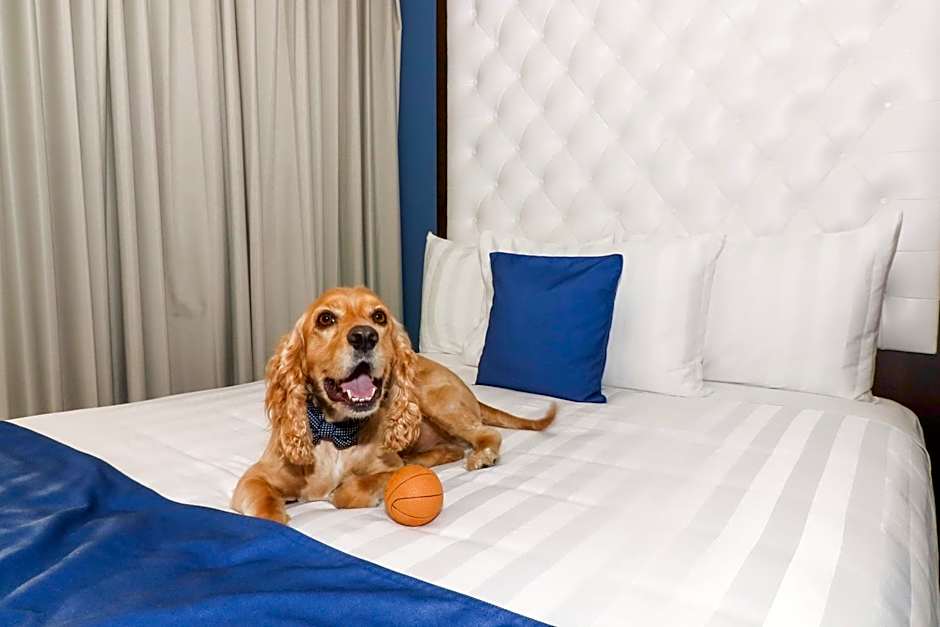 Medano Hotel and Spa