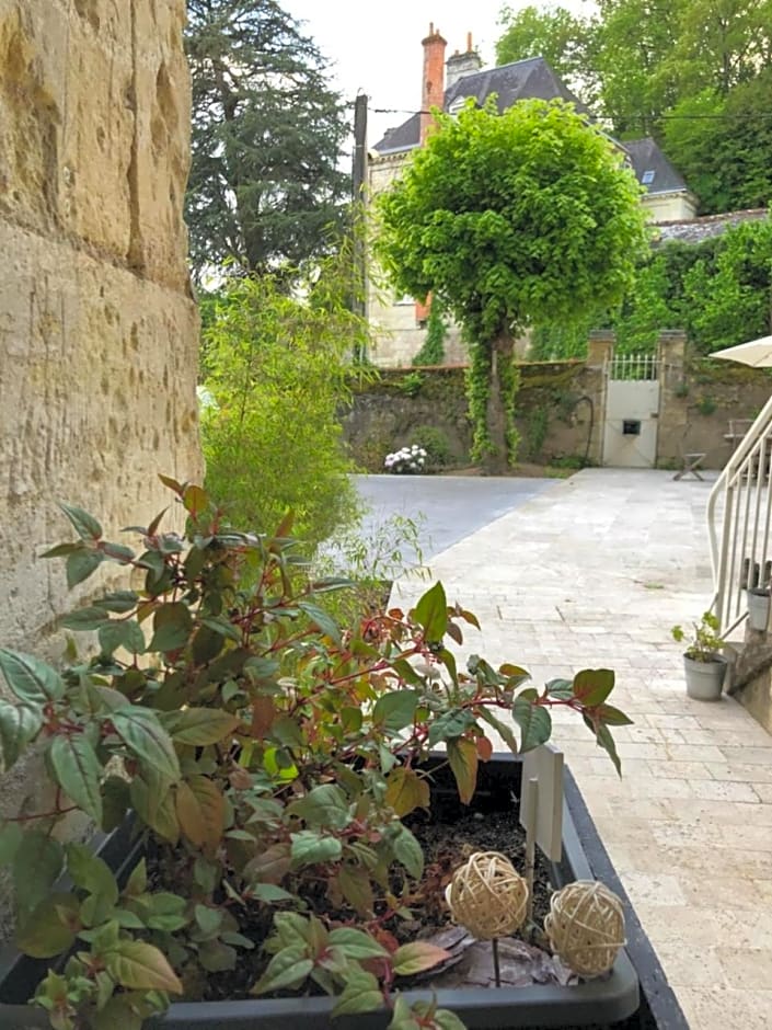 Chambre Troglodyte – Rochecorbon, TN