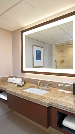 Sheraton Memphis Downtown Hotel