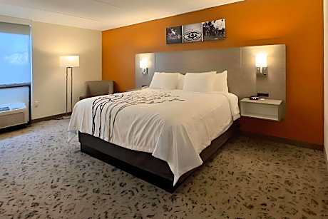 1 King Bed Nonsmoking