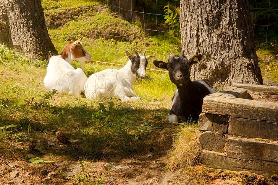 Hotel Lech Da Sompunt