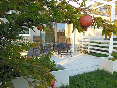 Double Room with Terrace