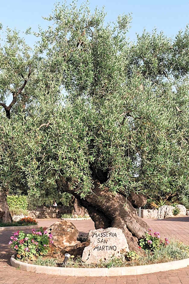 Masseria San Martino