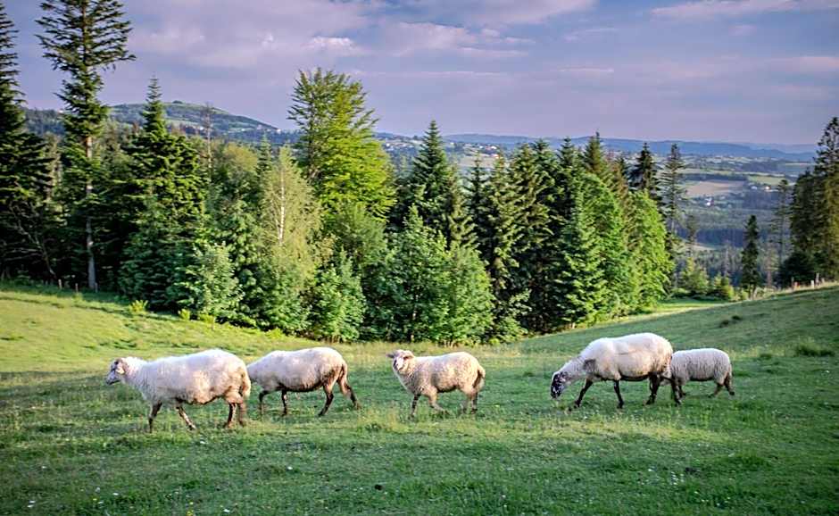 Olza Karczma i pokoje