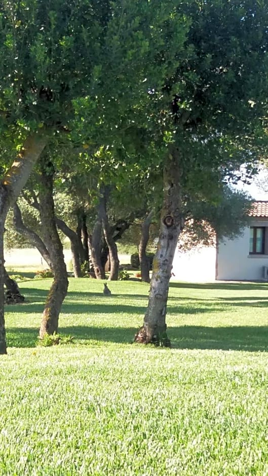 B&B Majore