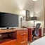 Comfort Suites Regency Park
