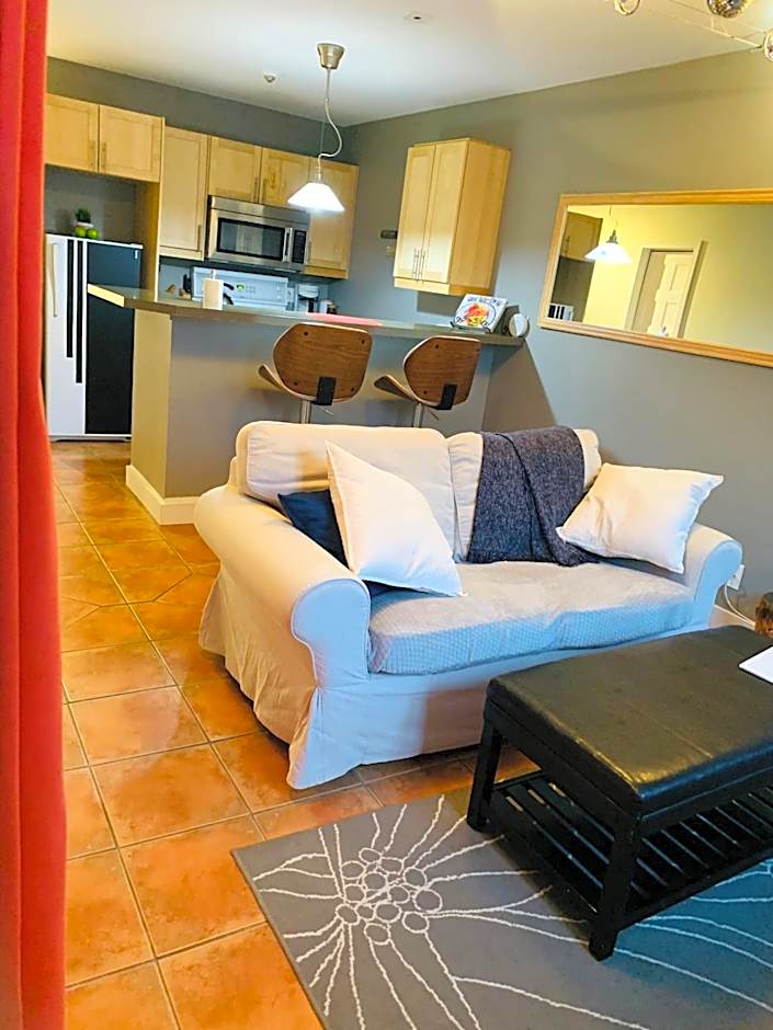 fully equiped Condo, pool and Spa only in summer