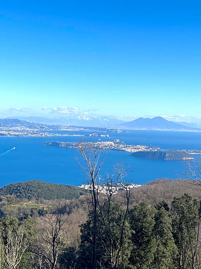 Poggio Aragosta Hotel & Spa