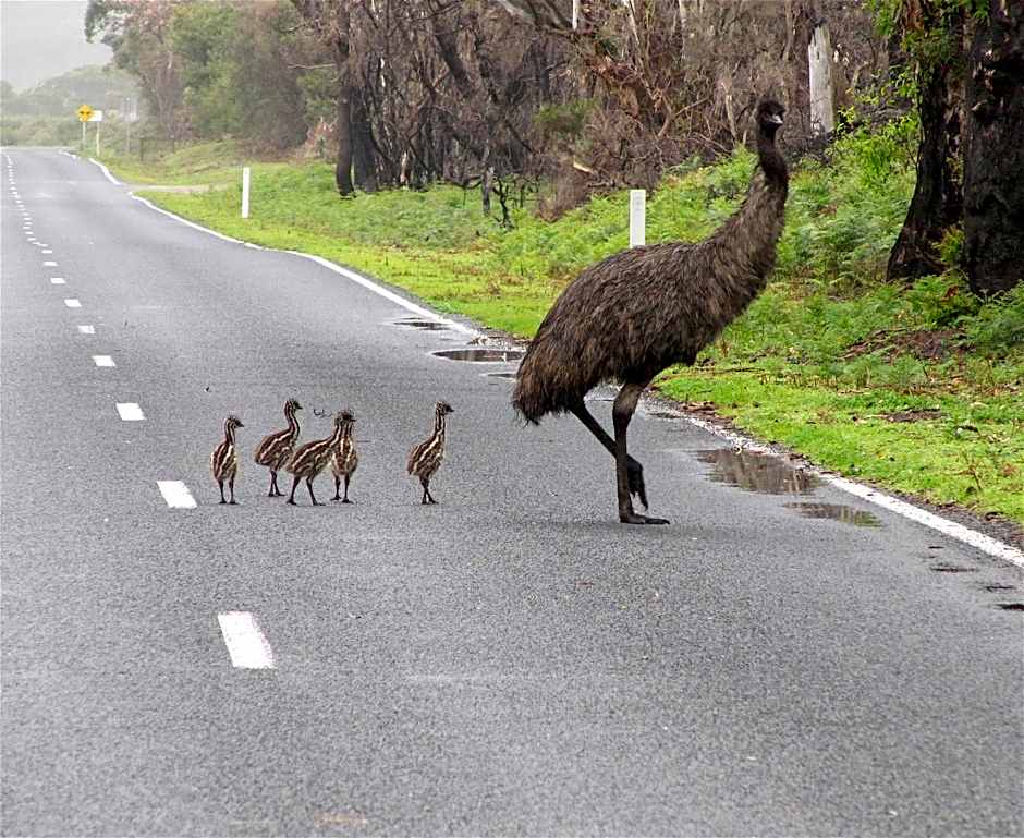 Llarrinda Bed & Breakfast