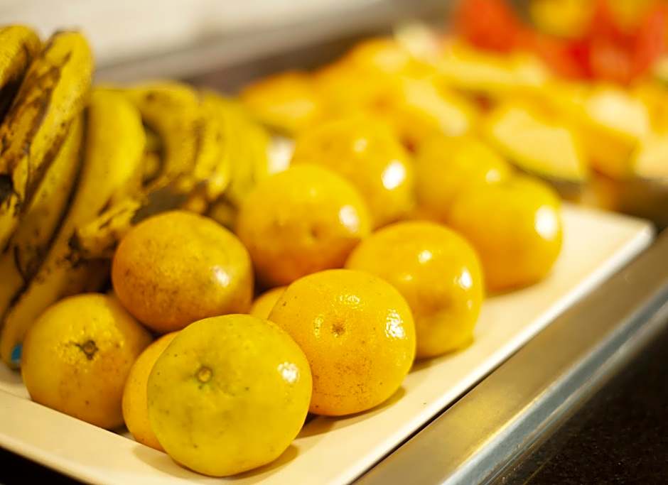 Marechal Plaza Hotel