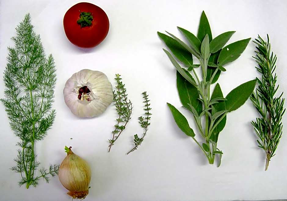 Locanda La Pieve B&B vicino Saturnia