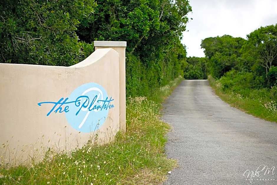 The Plantation