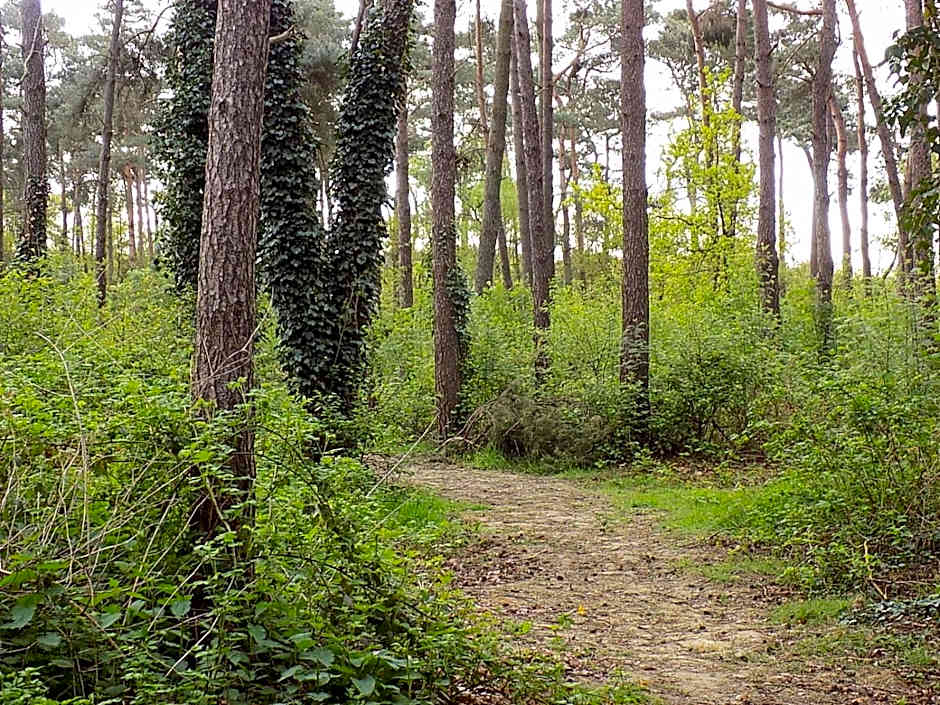 Verblijfpark De Brem