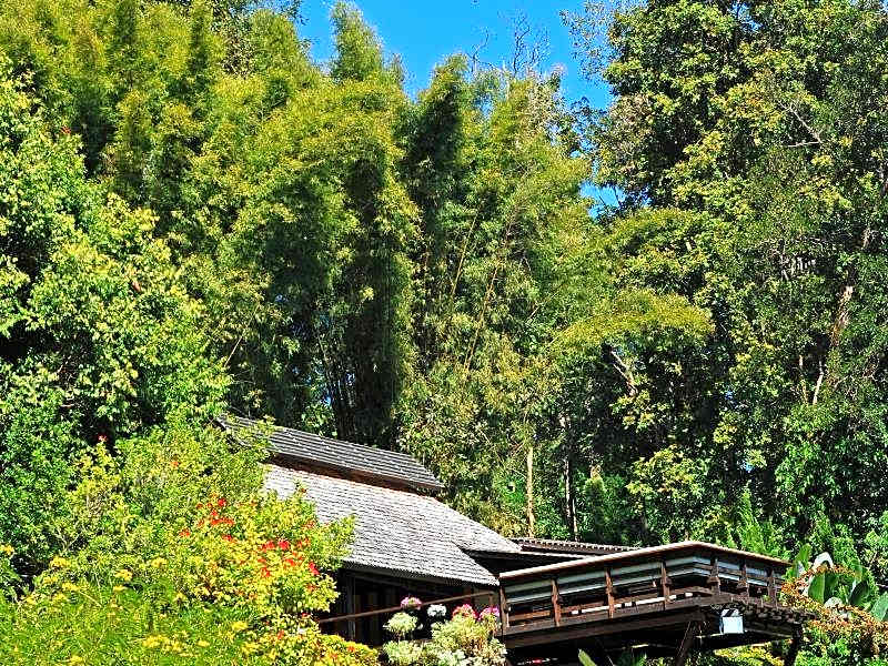 Vanilla Hill (Hill Lodge)