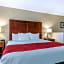 Comfort Inn & Suites Morehead