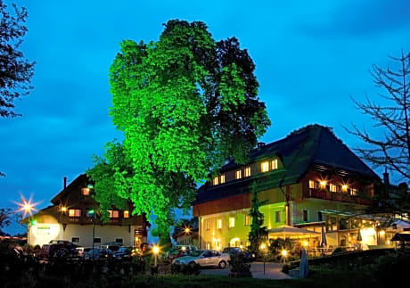 Hotel Zollner