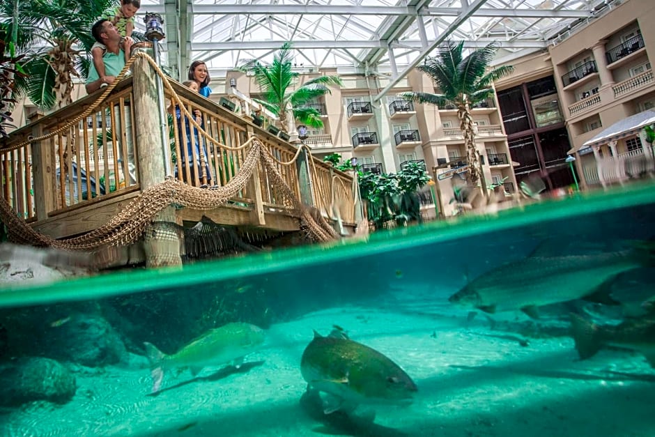 gaylord-palms-resort-convention-center