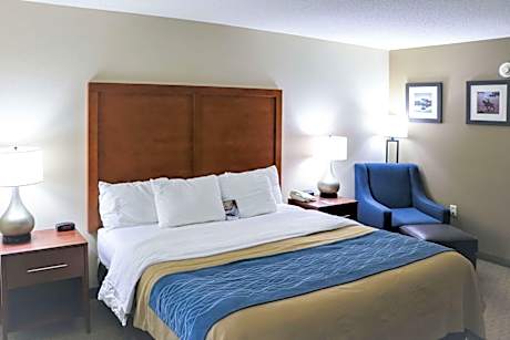 1 King Bed Nonsmoking Accessible