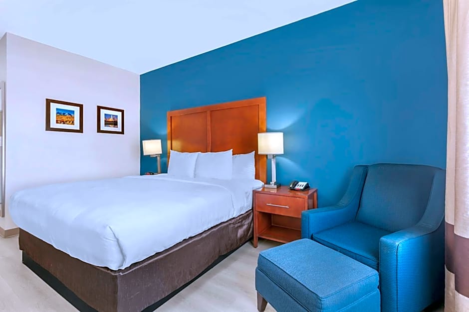 Comfort Inn & Suites Red Oak - Dallas Area