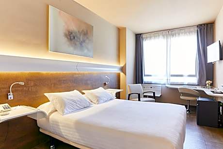 Double Single Use Standard with Double Bed