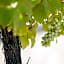 Petersons Armidale Winery and Guesthouse