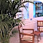 Getaway Studios Oostende