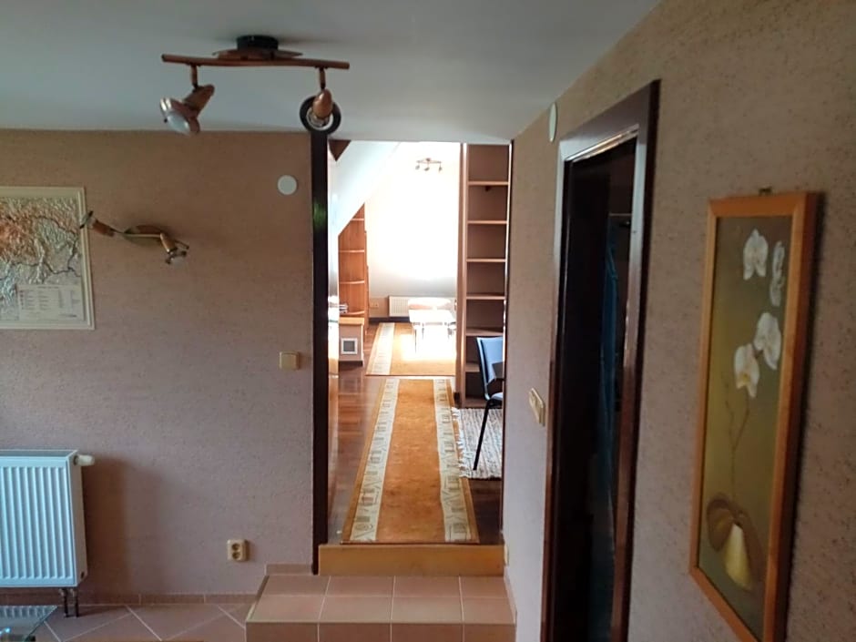 Apartmán Starý Mlyn