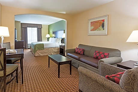 One-Bedroom Suite with Roll-In Shower - Mobility Accessible