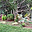 Villa DESIDERIA B&B