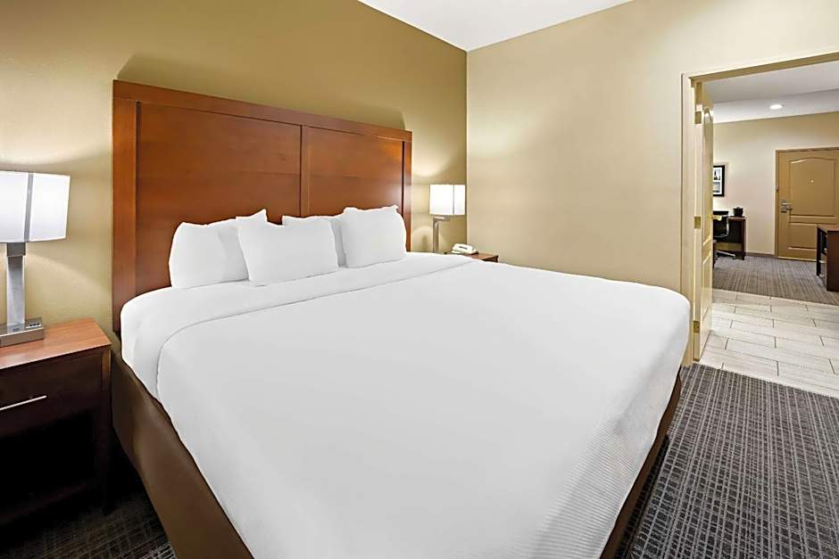 Comfort Inn & Suites High Point - Archdale
